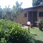 Il Gelsomino