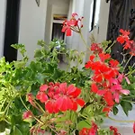 Il Casale Di Zi'Leo
