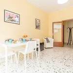 B&B Manzo 11