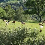 B&B Il Vigneto