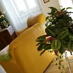 Porporella
