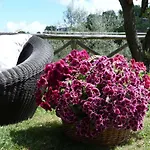 La Casa Di Nonna Elvira
