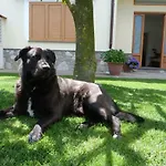 La Casa Di Nonna Elvira