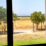 Il Chiosco Giallo
