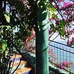 Mezzatorre - Incantevole Appartamento