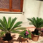 Flowers Apartment