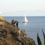 Isola D'Elba Come In Barca, A Un Tuffo Dal Mare