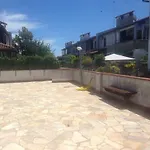 Logonovo 2000