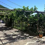 Agriturismo Il Castagno