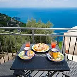 Amalfi Coast Bougainvillea