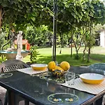 Guest House 