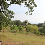 Altana