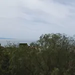 Cartolano