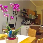 Zoe Home