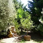 Podere Belvedere Cecina