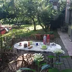 Camomilla