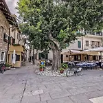 Calle Del Palazzo