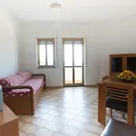 Appartamenti Per Vacanze Fiore Bazzarelli Srl
