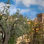 Acacia Casetta Con Giardino