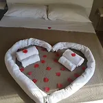 B&B A Maronn Ro'Carmin