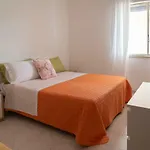 La Terrazza Sul Mare