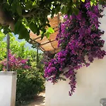 Casa Flora