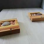 Viola Apartment