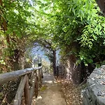 Amore Rentals - Villa Ofelia