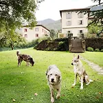 Alpe Del Lupo