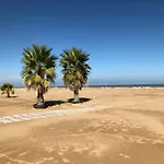 On The Adriatic Beach Tra Venezia Ferrara E Ravenna Sulla Spiaggia Della Riviera Adriatica
