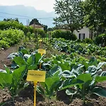 Agriturismo Il Colle