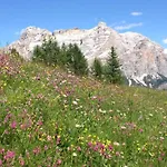Appartamenti Montanara