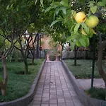 Vesuvius Guest House Villa Annamaria