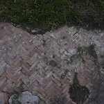 Villa Petrinum B&B