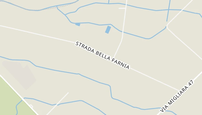 Térkép