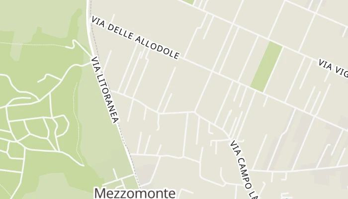 Χάρτης