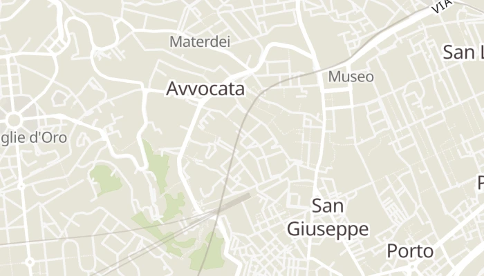 Térkép